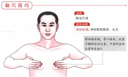 配合穴位治疗1.配阳陵泉,支沟,适用于缓解胸胁胀痛.2.配天突,列缺,适